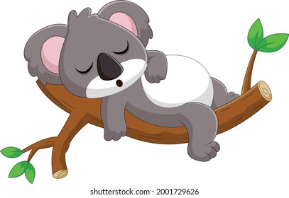 cartoon Cute koala is sleeping on a tree