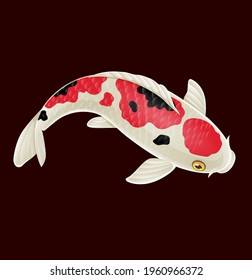 Cartoon cute koi fish on red background