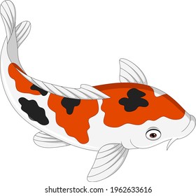 Cartoon cute koi fish on white background