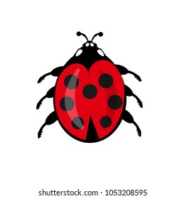 Cartoon Cute ladybug  isolated on white background.  Vector EPS 10