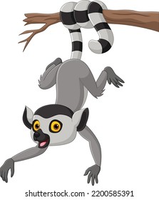 Cartoon cute lemur hanging on tree branch