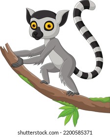 Cartoon Cute Lemur On Tree Branch