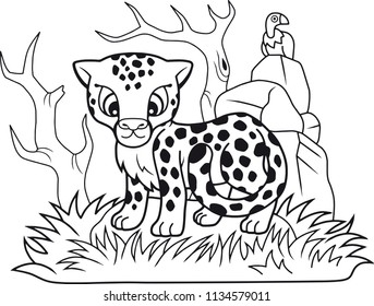 cartoon cute little cheetah, funny illustration, coloring book