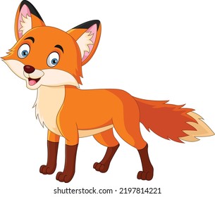 Cartoon cute little fox on white background