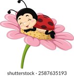 Cartoon cute little ladybug sleeping on pink daisy flower