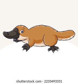 Caricatura linda pequeña Platypus con fondo blanco