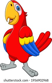 Cartoon cute macaw on white background