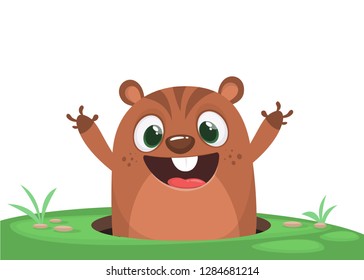 Cartoon cute marmot groundhog looking out of a hole. Happy groundhog day. Vector illustration