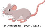 Cartoon cute mouse on white background