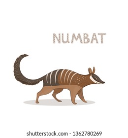 A cartoon cute numbat, isolated on a white background. Animal alphabet.