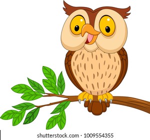 Cartoon cute owl isolated on white background