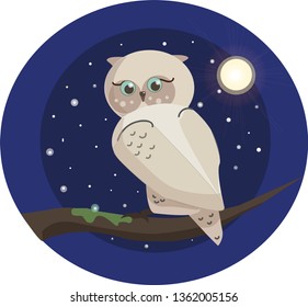 Cartoon cute owl on a branch in the night.