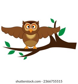 Cartoon cute Owl school Teacher Character Design. 100 days school Character Design.