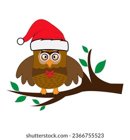 Cartoon cute Owl school Teacher Character Design. 100 days school Character Design.