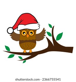 Cartoon cute Owl school Teacher Character Design. 100 days school Character Design.