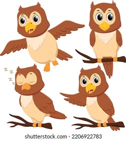 Cartoon cute owl set isolated on white background	