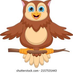 cartoon cute owl waving on white background