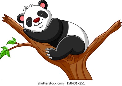 Cartoon cute panda sleeping illustration vector