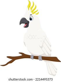 Cartoon Cute parrot cockatoo on branch