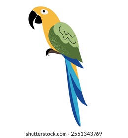 Cartoon cute parrot. Forest, exotic bird. Children illustration. Kids style 