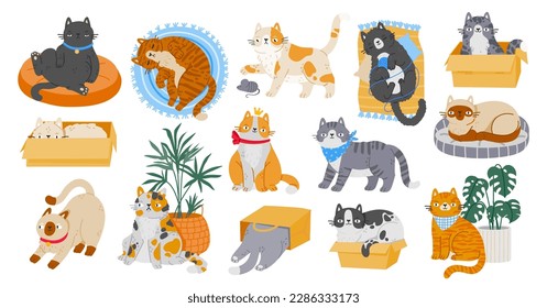 Cartoon cute pet cats character. Different kitten activities, playing with toys, sleeping on rugs and relaxing in boxes isolated on white background. Vector set. Domestic animal near houseplant