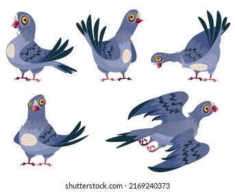 Cartoon cute pigeon character in different pose and emotions isolated set collections. Vector cartoon design element illustration