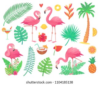 Cartoon cute pink flamingo and tropical plants. Beach palm, green african plant monstera leafs, floral rainforest flower, tropic palms leaf and rosy flamingos and summer stuff vector illustration