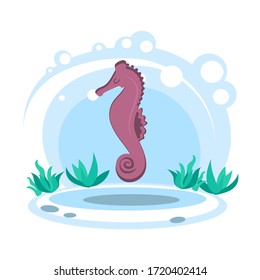 Cartoon cute pink seahorse. Wild sea animal. Stylized character in the location of the sea or ocean. simplified style. Vector stock illustration. educational card for children. Wildlife. aquarium