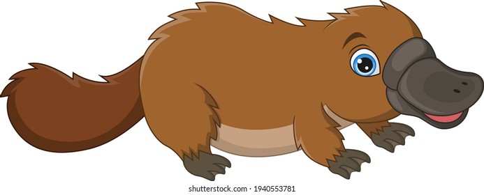 Cartoon cute platypus isolated on white background