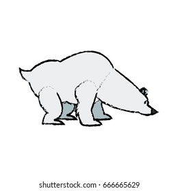 cartoon cute polar bear wild artic