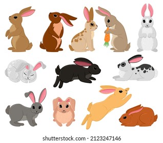 Cartoon cute rabbits, spring bunny brown and white characters. Bunny sitting, sleeping and jumping vector illustration set. Traditional easter animals, tiny adorable rabbits with carrot