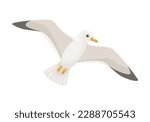 Cartoon cute seagull. Vector funny flying bird. Flat icon.