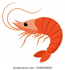 cartoon cute shrimp.Colorful illustration shrimp on white background.Suitable for children's books ,sticker,mascot, logo. Pro Vector