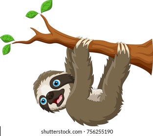 Cartoon Cute Sloth Hanging On The Tree