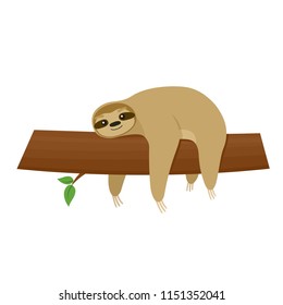 Cartoon cute sloth lies on tree. Vector animal character on white background.
