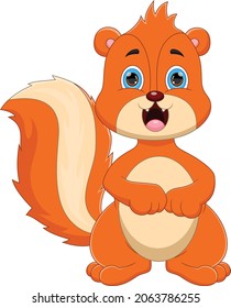 cartoon cute squirrel on white background