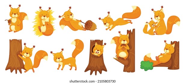 Cartoon cute squirrels sleeping, jumping, sitting on branch. Happy squirrel holding acorn, forest wildlife animal, woodland mascot vector set. Mother taking care of child, playing character