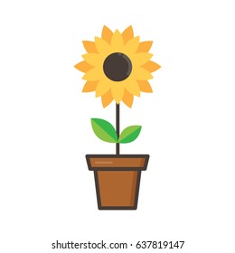 cartoon cute sunflower in a flowerpot on a white background