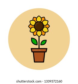 cartoon cute sunflower in a pot vector icon