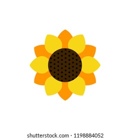 cartoon cute sunflower vector image