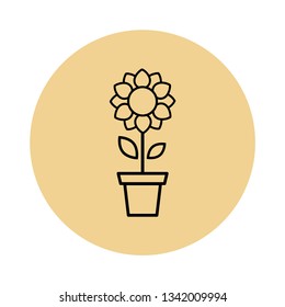 cartoon cute sunflower vector outline in a pot icon