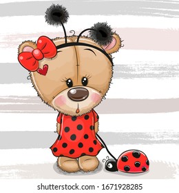 Cartoon Cute Teddy Bear girl in a ladybug costume and ladybug