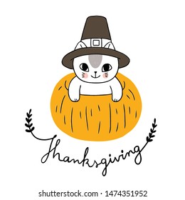 Cartoon cute thanksgiving cat and pumpkin vector.