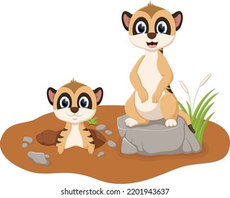 Cartoon cute two meerkats on white background