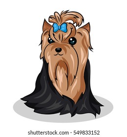 cartoon cute vector yorkshire terrier at the white background