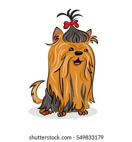 cartoon cute vector yorkshire terrier at the white background
