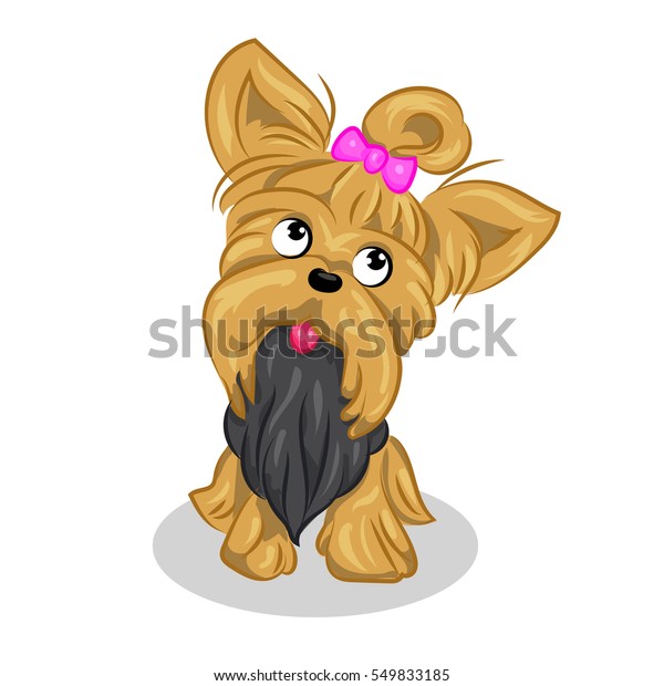 Cartoon Cute Vector Yorkshire Terrier White Stock Vector (Royalty Free