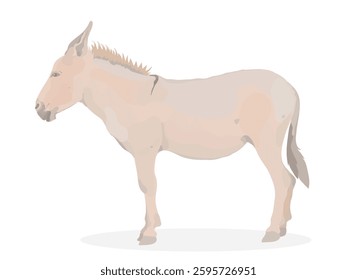 Cartoon cute white Donkey. Vector funny farm animal isolated on white. 