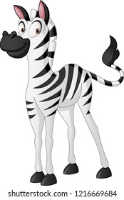 Caricatura linda cebra. Imagen vectorial de un divertido animal feliz.