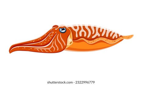 Cartoon cuttlefish sea animal. Isolated vector intelligent and camouflaging creature with its unique ability to change color and shape, navigates the ocean depths, showcasing its mesmerizing behavior